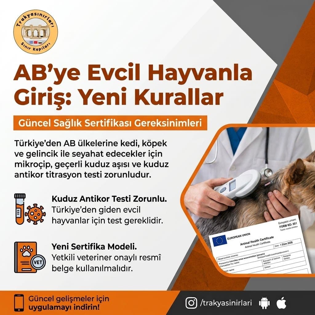 AB'ye Evcil Hayvanla Giriş: Yeni Kurallar